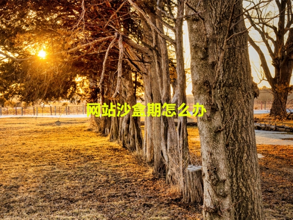 網(wǎng)站沙盒期怎么辦？